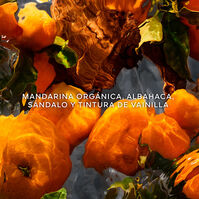 Aqua Allegoria Mandarine Basilic Forte  125ml-206763 3